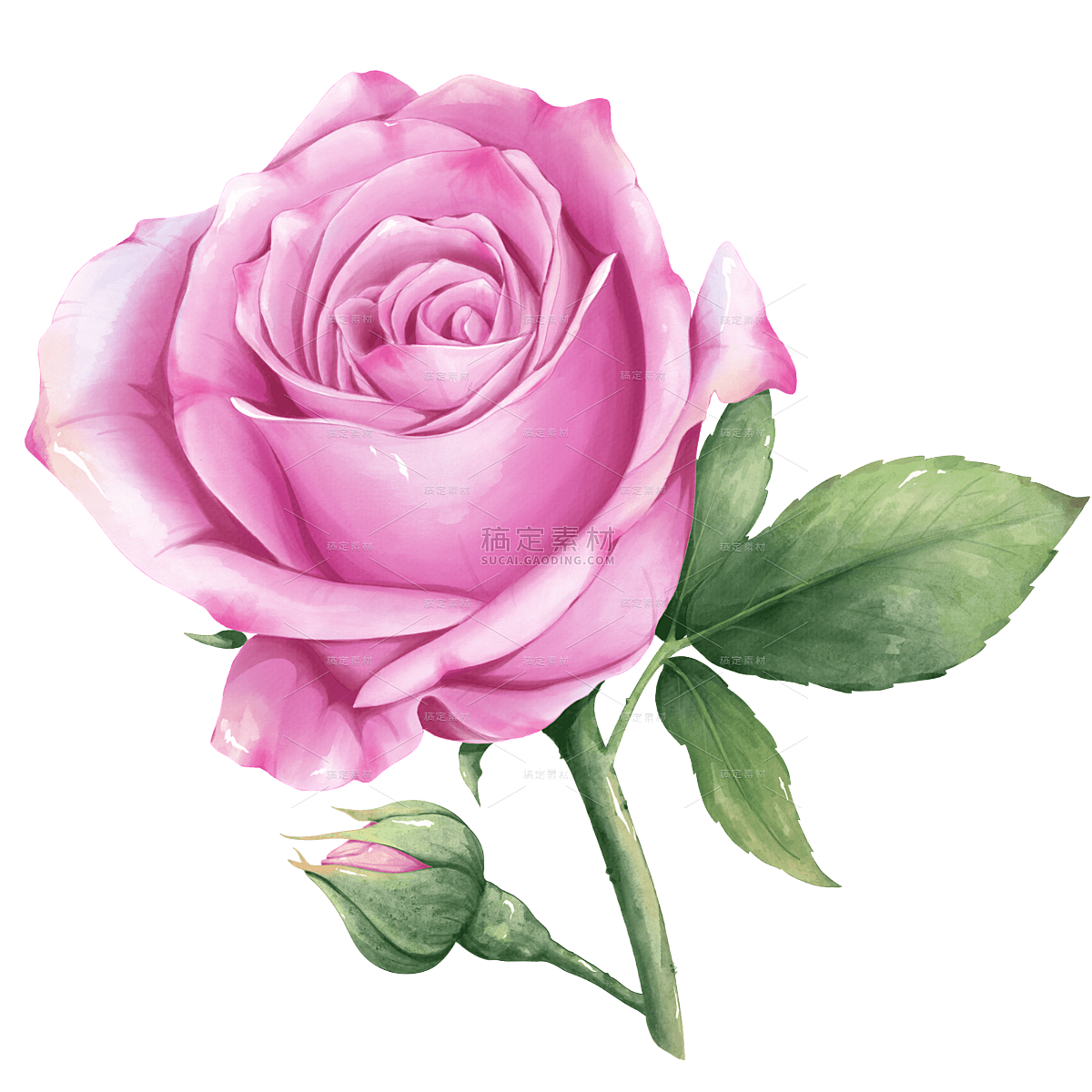手绘粉色单朵玫瑰插画元素