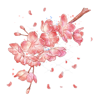 手绘粉色水彩樱花花朵插画元素6