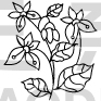 Flower Design