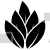 Leaves Design
