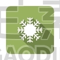 Snowflake
