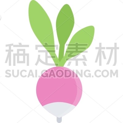 Radish, Cooking, Food, Orange, Product, Shop, Supermarket