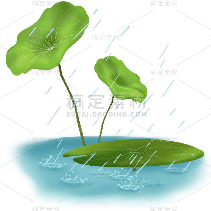 雨水节气贴纸