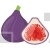 Purple Figs