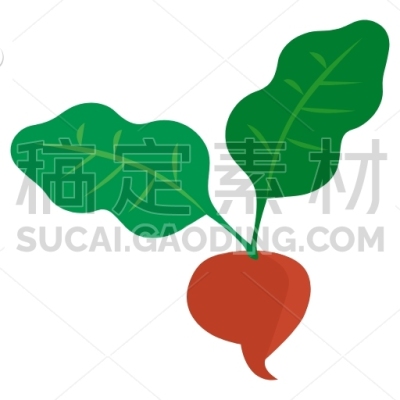beet