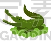 crocodile
