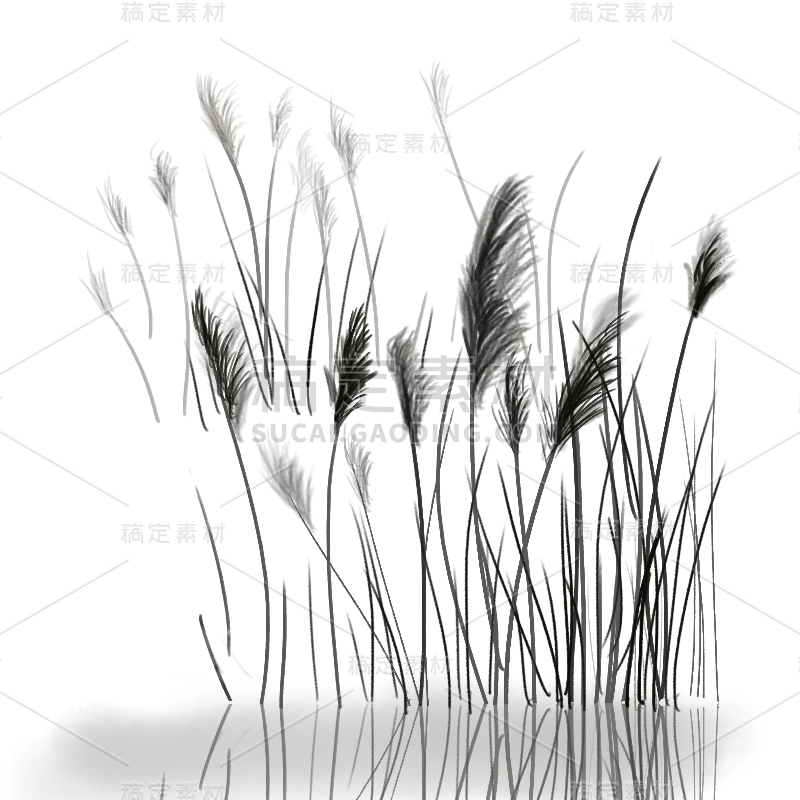 中国风水墨芦苇植物贴纸4