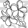 Flower Design