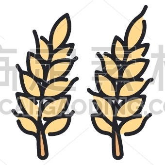 wheat