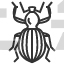 Antlike