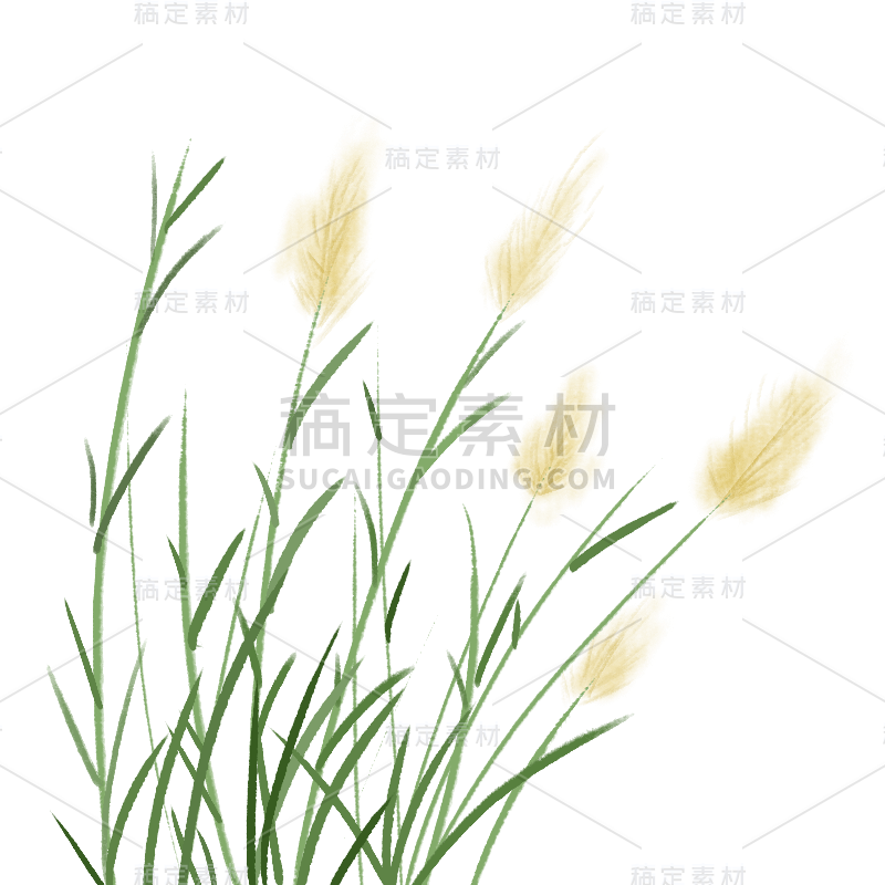 中国风水墨芦苇植物贴纸8