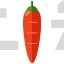 Carrot