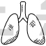 Lungs