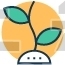 organic reach