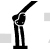 Knee Joint
