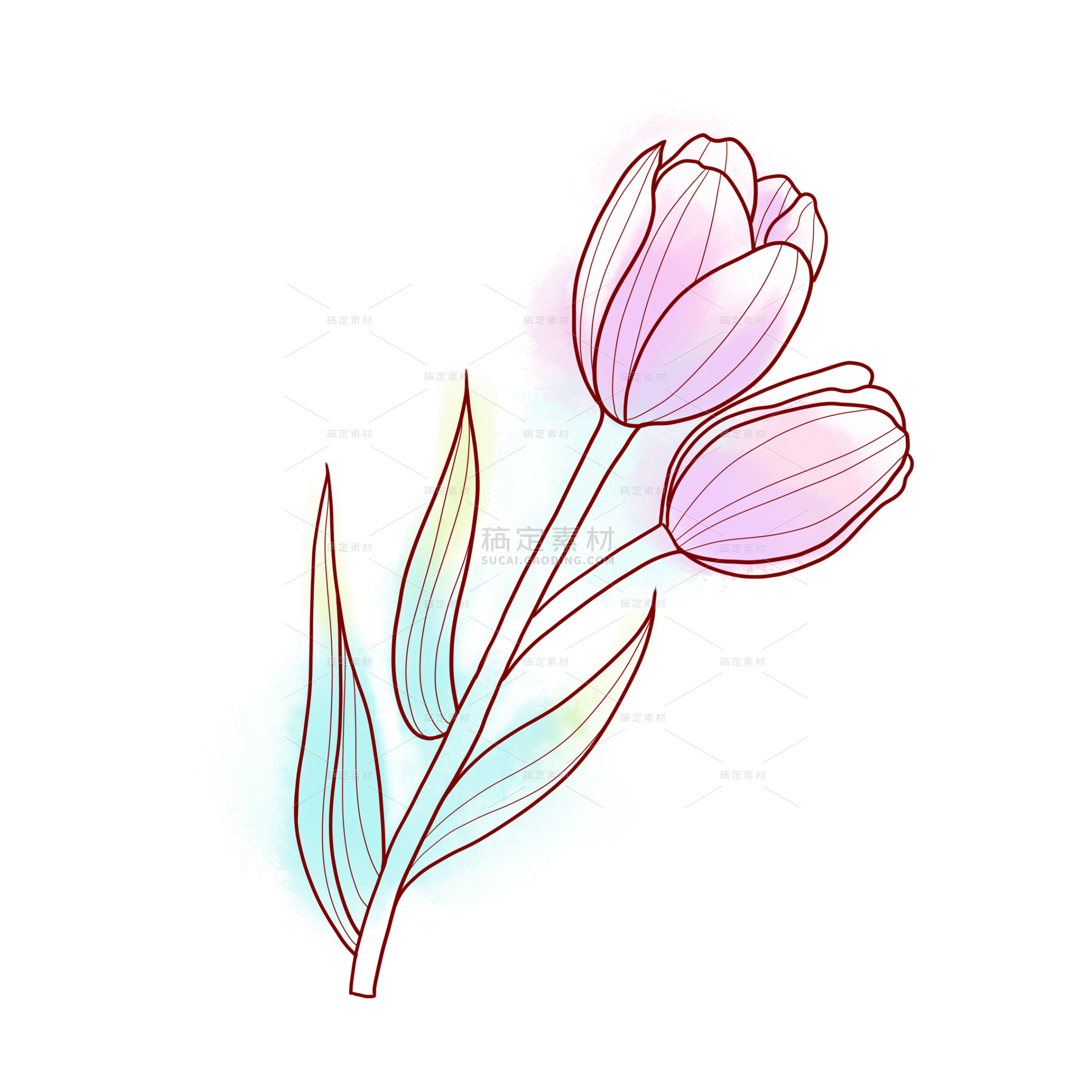 手绘线稿玫瑰花元素