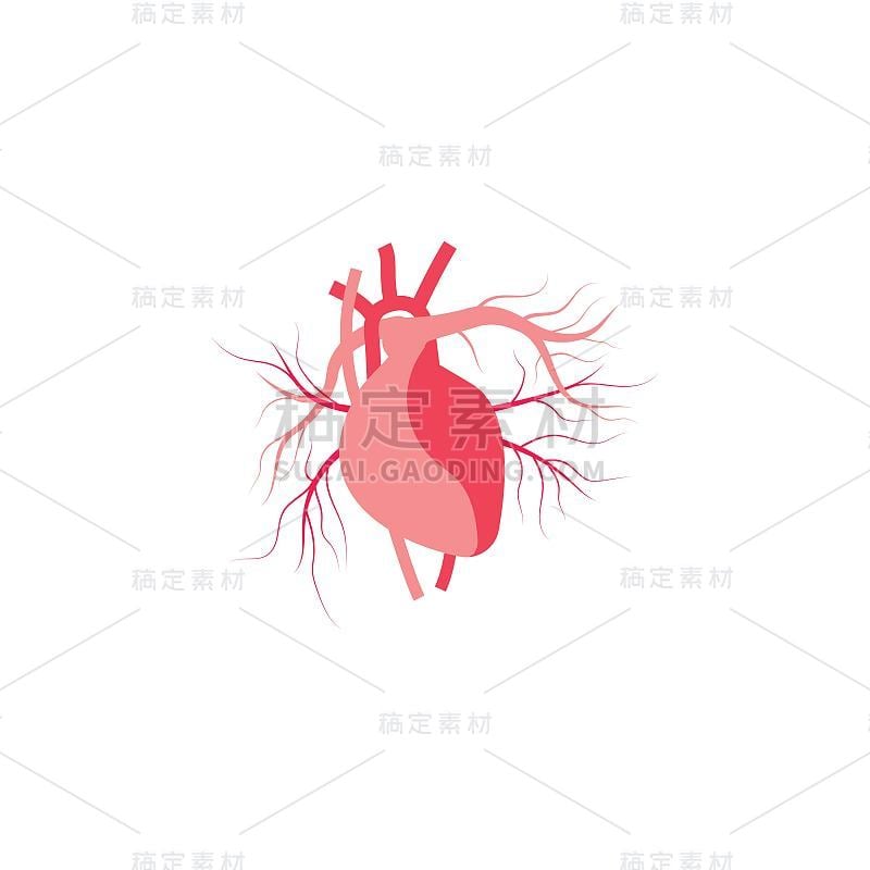 Arteri矢量插图设计