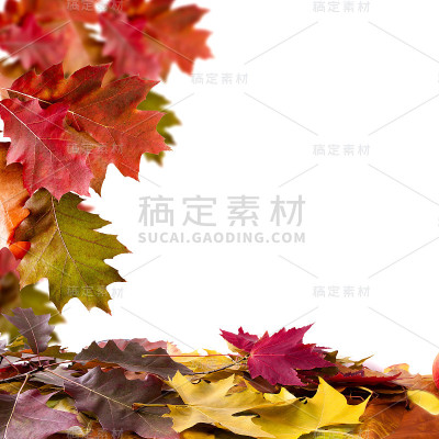 秋天