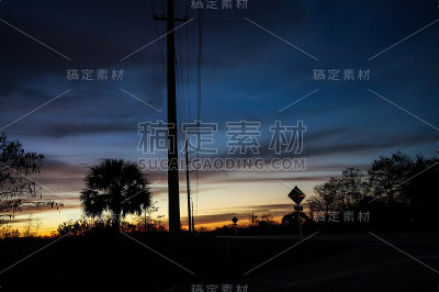 日落时的棕榈树和电线