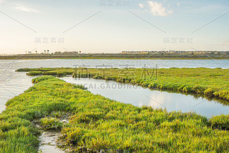 Bolsa Chica湿地，亨廷顿海滩