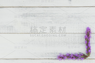 紫罗兰花在白色的木材背景与复制空间