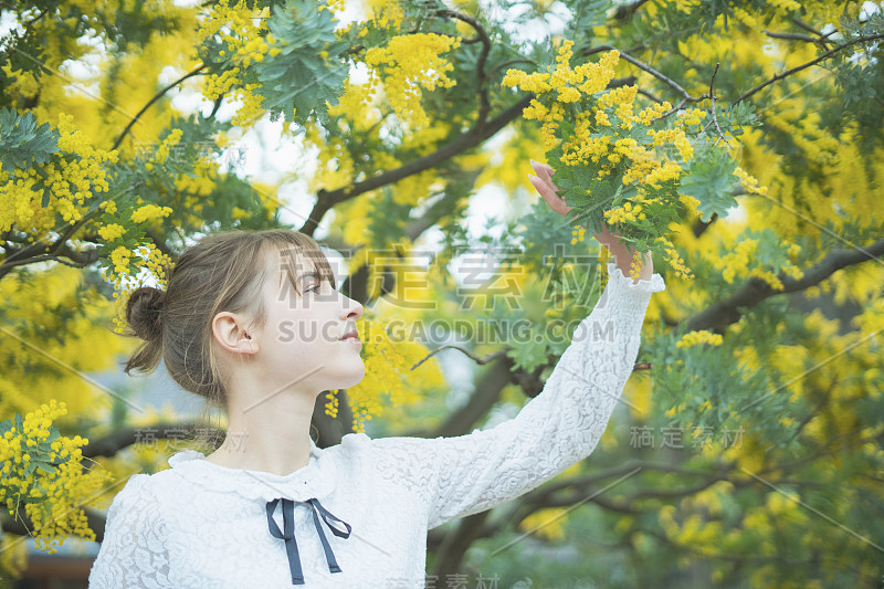 一个看含羞草开花的女人