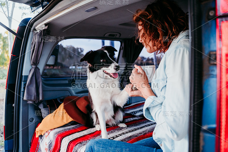 一个女人和一只边境牧羊犬在一辆面包车里。旅游的概念