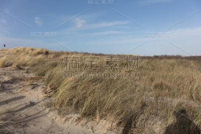 荷兰海牙的风景
