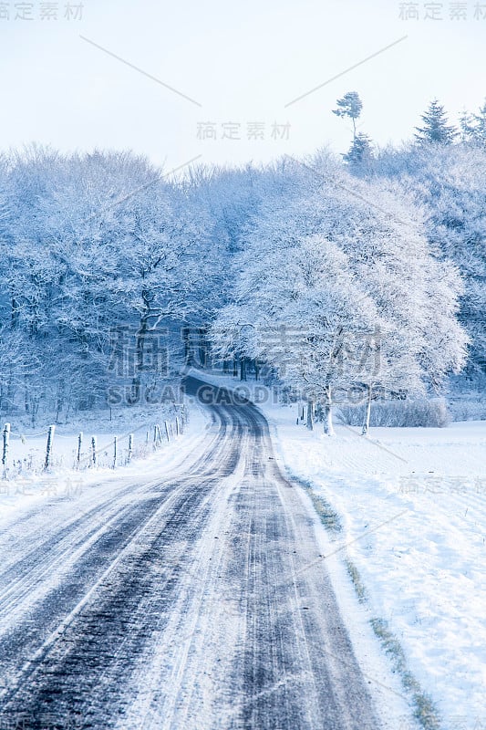 雪景与乡村道路通往森林的背景