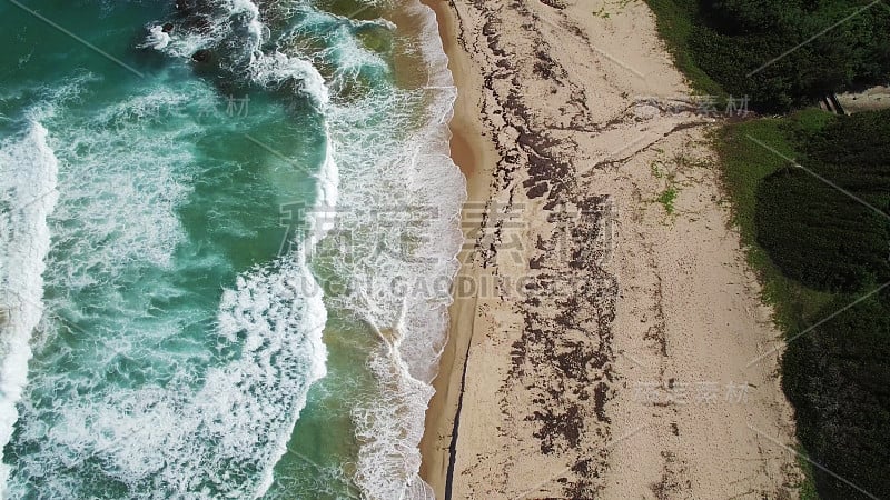 鸟瞰图:加勒比海滩，巴巴多斯