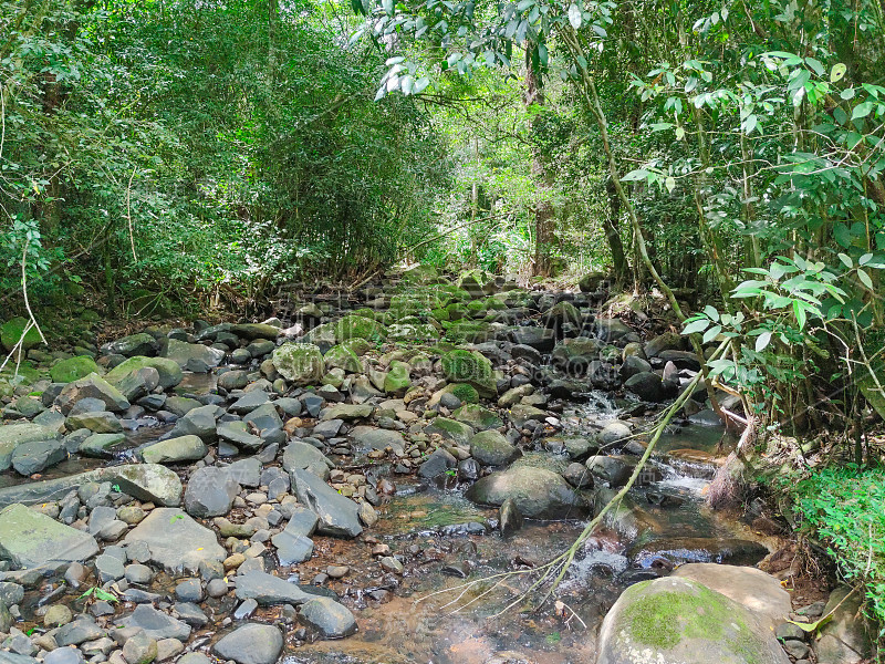 在西尔韦拉·马丁斯市山区流动的淡水河道