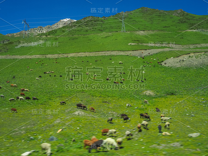 天山山脉，吉尔吉斯斯坦