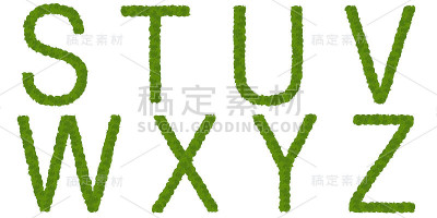 绿叶S-Z