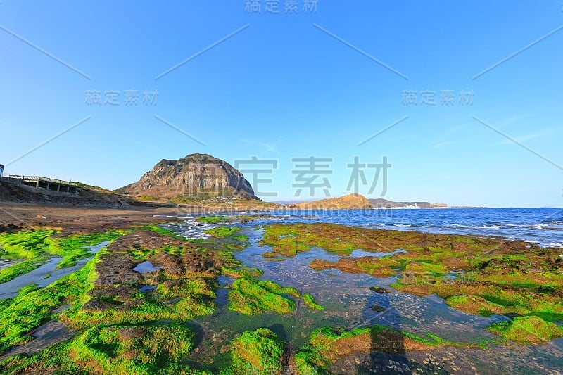 三邦，海滩，海岸，海滩，海岸，海岸，海草，龙头海岸，