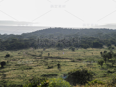 纳库鲁湖国家公园，肯尼亚，非洲