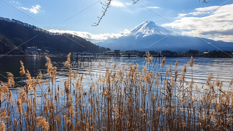 日本——从川口湖眺望富士山的田园诗般的景色