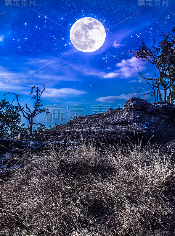 荒野上空繁星点点的夜空景观。