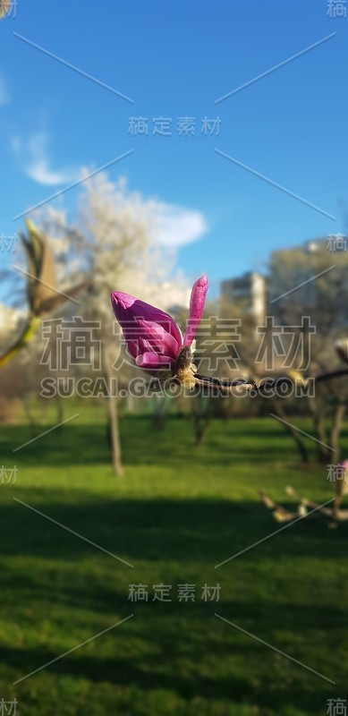 春季的一天