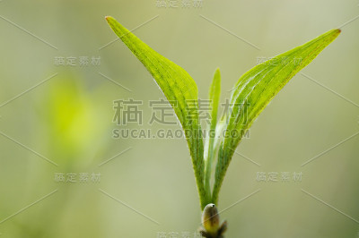 新拍摄