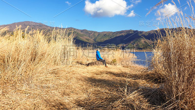 日本——一个人坐在金色的草丛中