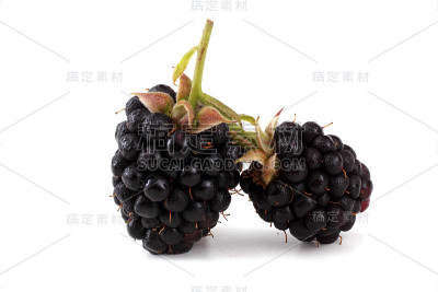 黑莓