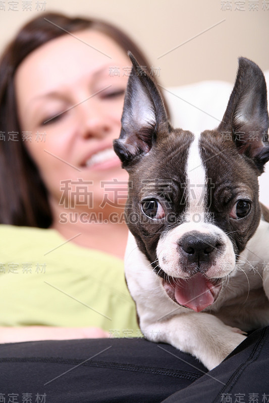 一个女人和她的波士顿小猎犬