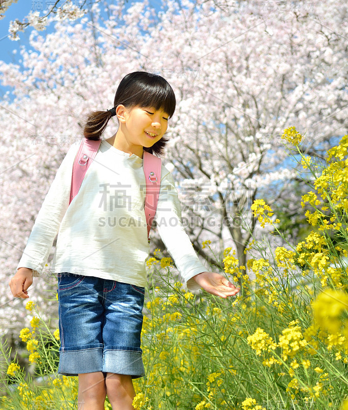 女孩和樱桃树