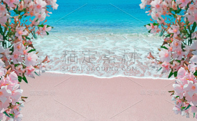 花和粉红色的海岸