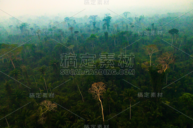 亚马逊雨林被燃烧产生的烟雾所覆盖。火被用来砍伐森林和建立养牛场。——帕拉、巴西