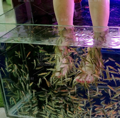 鱼温泉脚