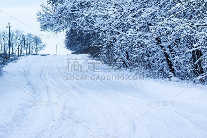 冬季森林里的雪道