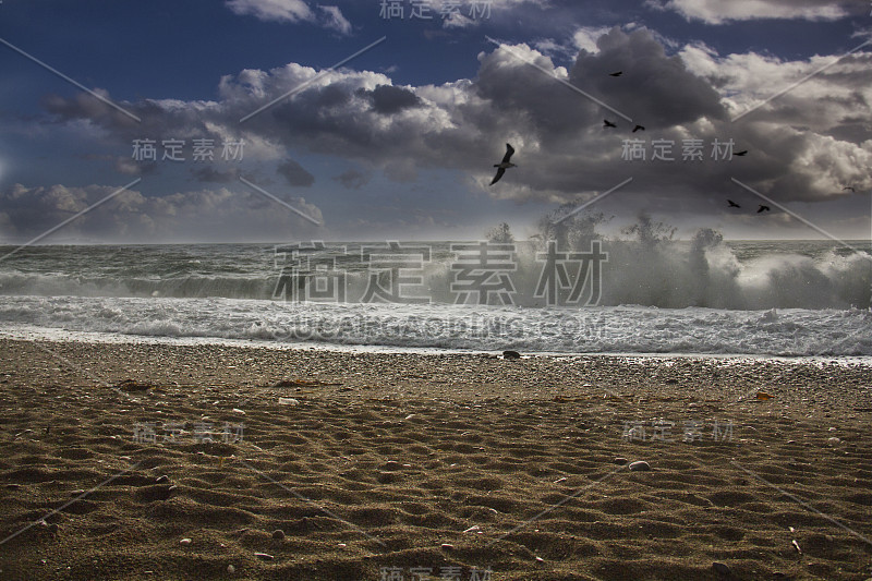 海浪和鸟类在安塔利亚海岸