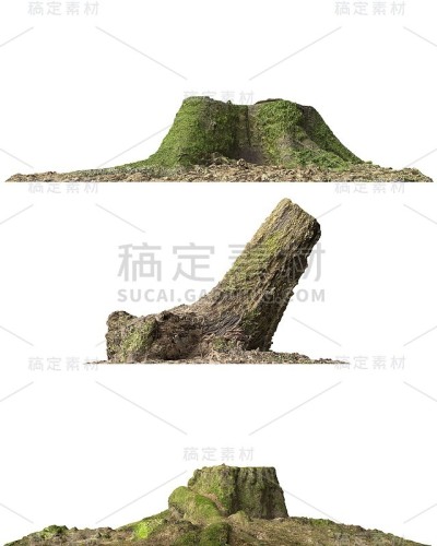 树桩死树孤立的白色3d插图