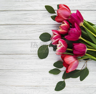 美丽的郁金香花束